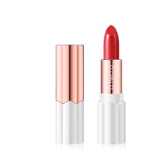 LAPIZ DE LABIO ROJO DE LARGA DURACION COD: AL